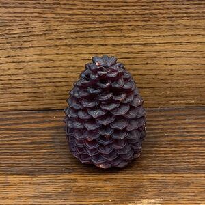 New Smith & Hawken Pine Cone Candle